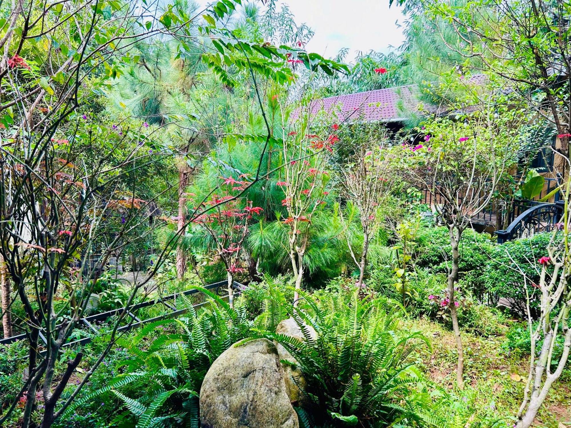 Bazan Home - Hotel & Bungalow Pleiku Buitenkant foto